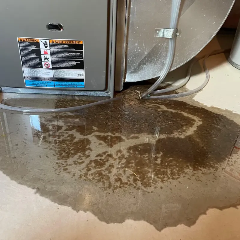 Appliance Leak Cleanup in North Baltimore, OH
