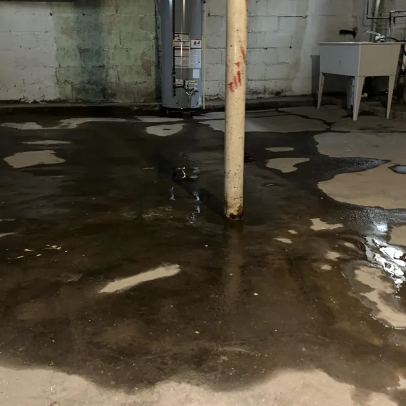 Emergency Water Extraction And Removal in North Baltimore, OH